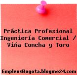 Práctica Profesional Ingeniería Comercial / Viña Concha y Toro