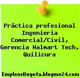 Práctica profesional Ingenieria Comercial/Civil, Gerencia Walmart Tech, Quilicura