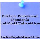 Práctica Profesional Ingeniería Comercial/Civil/Informática/Redes