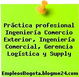 Práctica profesional Ingeniería Comercio Exterior, Ingeniería Comercial, Gerencia Logística y Supply