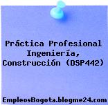 Práctica Profesional Ingeniería, Construcción (DSP442)