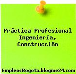 Práctica Profesional Ingeniería, Construcción