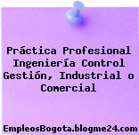 Práctica Profesional Ingeniería Control Gestión, Industrial o Comercial