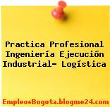 Practica Profesional Ingeniería Ejecución Industrial- Logística