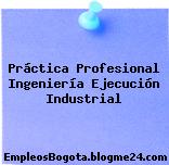 Práctica Profesional Ingeniería Ejecución Industrial