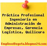 Práctica Profesional Ingeniería en Administración de Empresas, Gerencia Logística, Quilicura