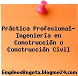 Práctica Profesional- Ingeniería en Construcción o Construcción Civil