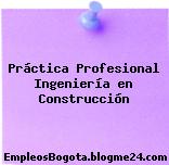 Práctica Profesional Ingeniería en Construcción