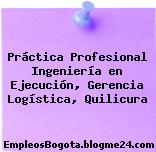 Práctica Profesional Ingeniería en Ejecución, Gerencia Logística, Quilicura