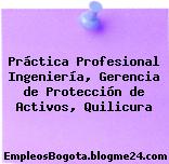 Práctica Profesional Ingeniería, Gerencia de Protección de Activos, Quilicura
