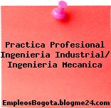 Practica Profesional Ingenieria Industrial/ Ingenieria Mecanica
