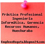 Práctica Profesional Ingeniería Informática, Gerencia Recursos Humanos, Huechuraba
