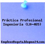 Práctica Profesional Ingeniería (LH-465)