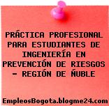 PRÁCTICA PROFESIONAL PARA ESTUDIANTES DE INGENIERÍA EN PREVENCIÓN DE RIESGOS – REGIÓN DE ÑUBLE