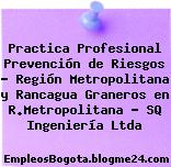 Practica Profesional Prevención de Riesgos – Región Metropolitana y Rancagua Graneros en R.Metropolitana – SQ Ingeniería Ltda