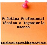 Práctica Profesional Técnico o Ingeniería Osorno