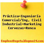 Práctica-Ingeniería Comercial/Ing. Civil Industrial-Marketing Cervezas-Renca