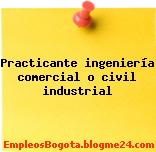 Practicante ingeniería comercial o civil industrial