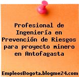 Profesional De Ingeniería En Prevención De Riesgos Para Proyecto Minero En Antofagasta