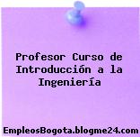 Profesor Curso de Introducción a la Ingeniería