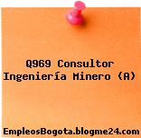 Q969 Consultor Ingeniería Minero (A)