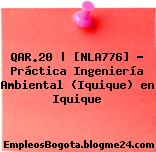 QAR.20 | [NLA776] – Práctica Ingeniería Ambiental (Iquique) en Iquique