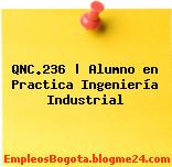 QNC.236 | Alumno en Practica Ingeniería Industrial