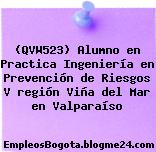 (QVW523) Alumno en Practica Ingeniería en Prevención de Riesgos V región Viña del Mar en Valparaíso