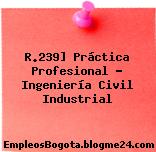 R.239] Práctica Profesional – Ingeniería Civil Industrial