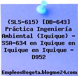 (SLS-615) [DB-643] Práctica Ingeniería Ambiental (Iquique) – SSA-634 en Iquique en Iquique en Iquique – D952