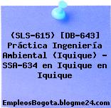 (SLS-615) [DB-643] Práctica Ingeniería Ambiental (Iquique) – SSA-634 en Iquique en Iquique