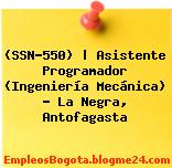 (SSN-550) | Asistente Programador (Ingeniería Mecánica) – La Negra, Antofagasta