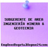 SUBGERENTE DE AREA INGENIERÍA MINERA & GEOTECNIA