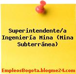 Superintendente/a Ingeniería Mina (Mina Subterránea)
