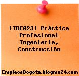 (TBE023) Práctica Profesional Ingeniería, Construcción