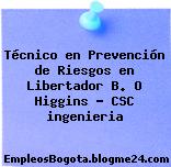 Técnico en Prevención de Riesgos en Libertador B. O Higgins – CSC ingenieria
