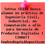 Tottus Chile busca alumno en práctica de Ingeniería Civil, Industrial, en Computación o afín para Gerencia de Productos Digitales | [IW667]
