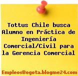 Tottus Chile busca Alumno en Práctica de Ingeniería Comercial/Civil para la Gerencia Comercial
