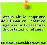 Tottus Chile requiere de Alumno en Práctica Ingeniería Comercial, Industrial o afines