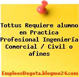 Tottus Requiere alumno en Practica Profesional Ingeniería Comercial / Civil o afines