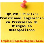 TQR.291] Práctica Profesional Ingeniería en Prevención de Riesgos en Metropolitana