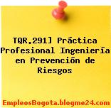 TQR.291] Práctica Profesional Ingeniería en Prevención de Riesgos