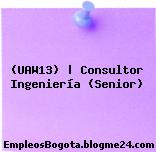(UAW13) | Consultor Ingeniería (Senior)