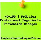 XO-150 | Práctica Profesional Ingeniería Prevención Riesgos