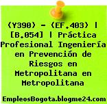 (Y390) – (EF.403) | [B.054] | Práctica Profesional Ingeniería en Prevención de Riesgos en Metropolitana en Metropolitana