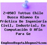 Z-050] Tottus Chile Busca Alumno En Práctica De Ingeniería Civil, Industrial, En Computación O Afín Para Ge