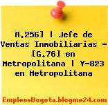 A.256] | Jefe de Ventas Inmobiliarias – [G.76] en Metropolitana | Y-823 en Metropolitana