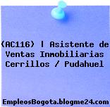 (AC116) | Asistente de Ventas Inmobiliarias Cerrillos / Pudahuel