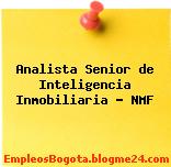 Analista Senior de Inteligencia Inmobiliaria – NMF