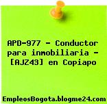 APD-977 – Conductor para inmobiliaria – [AJZ43] en Copiapo